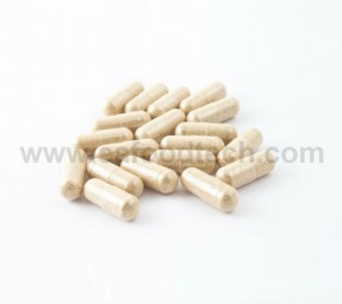 Enteric Coated Sustained-Release Capsules
